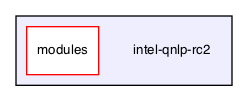 /Users/mlxd/Desktop/intel-qnlp-rc2